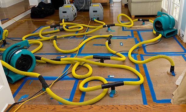 Professional Basement Flood Cleanup technician working in Allston, MA